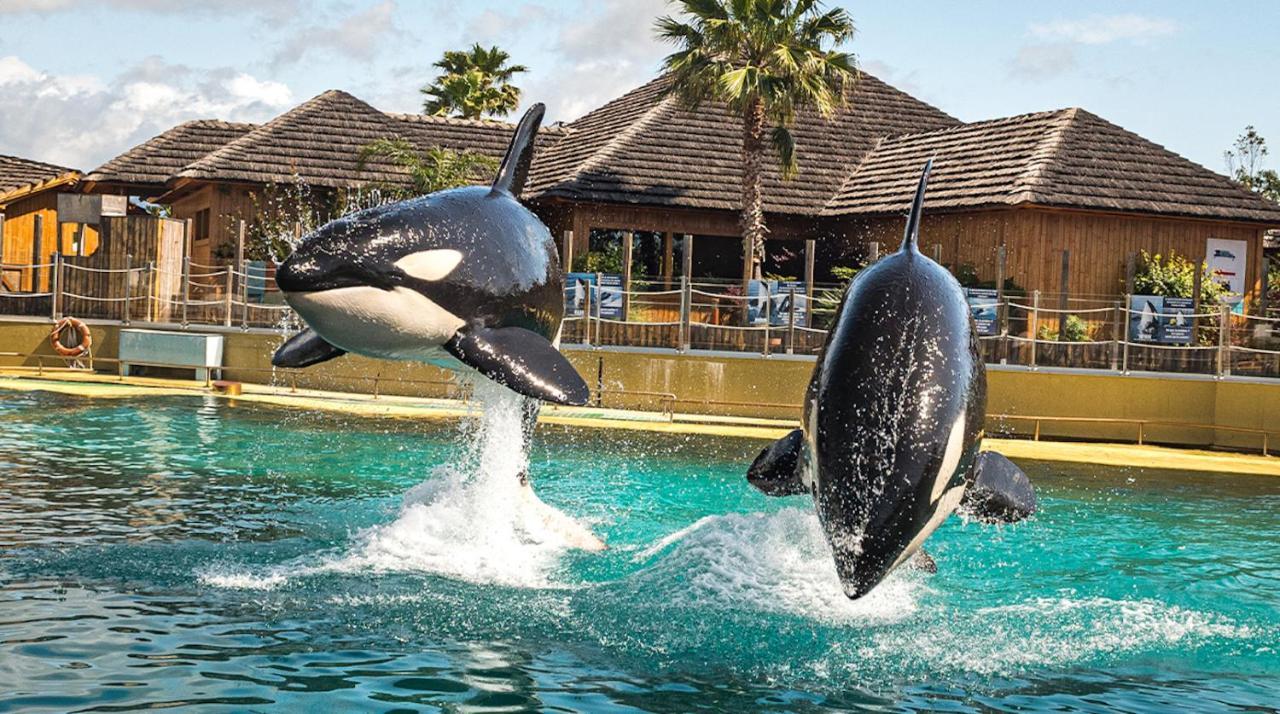 Appartement Marineland Sea View Antibes Zewnętrze zdjęcie