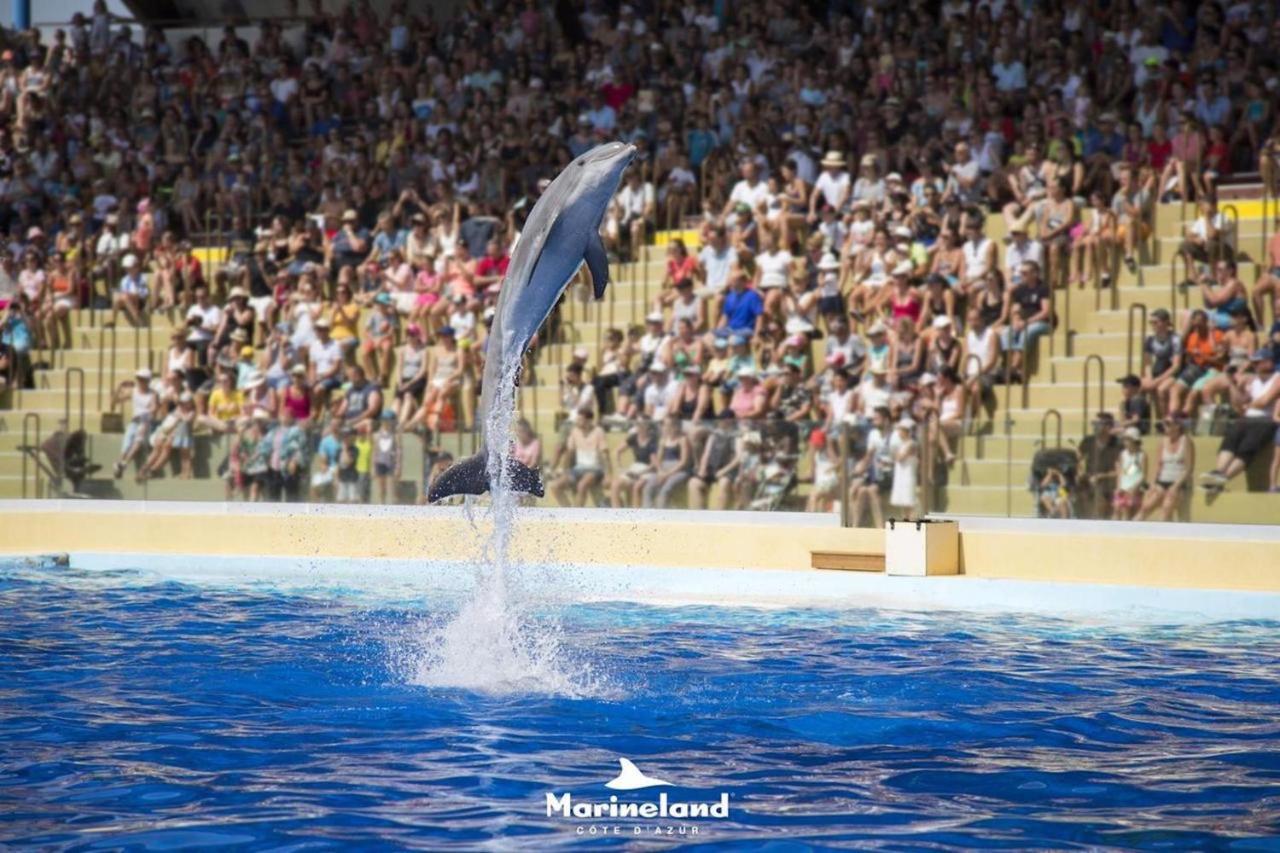 Appartement Marineland Sea View Antibes Zewnętrze zdjęcie